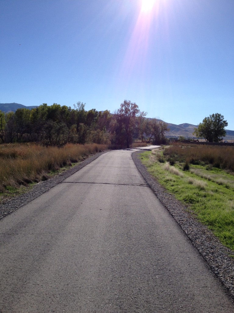 The trail towards the springs. Grueling.