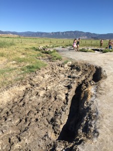 I feel like some people were more careful with their ATVs than others.