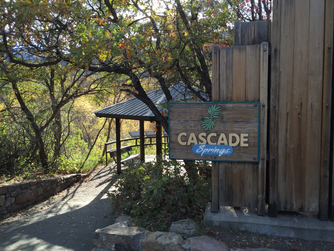 Cascade Springs